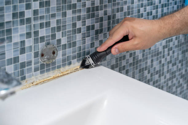 Best Mold Removal Company Near Me  in Olivet, NJ